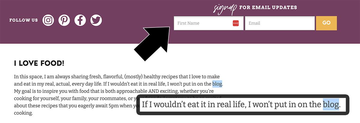 A screen capture from the "Pinch of Yum" blog showing both the email newsletter subscription form and a sentence that explicitly calls the website a blog.